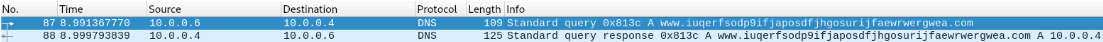 Wireshark capture showing the kill-switch DNS request